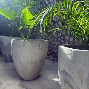 Bau **** Tulum